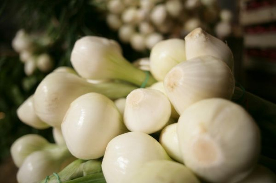 Cena cebuli jest o około 3 proc. wyższa niż rok temu W tym roku wyprodukujemy mniej warzyw gruntowych