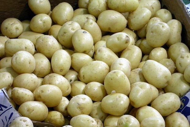 Konsumpcja ziemniaków spada w Polsce od lat Ziemniaki coraz mniej popularne, ale rośnie produkcja frytek i chipsów