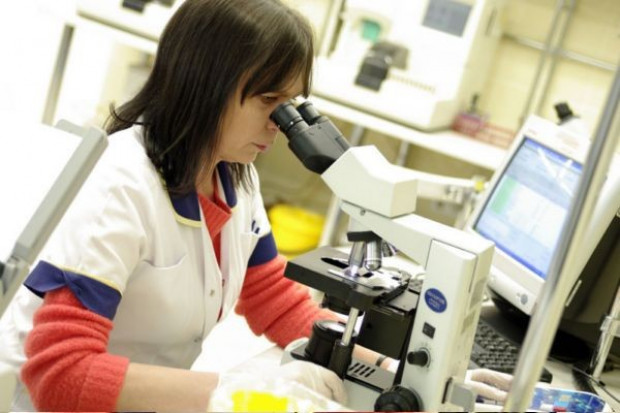 Zagrożenie bioterroryzmem jest realne. Zakłady produkujące żywność do sieci muszą wziąć to pod uwagę