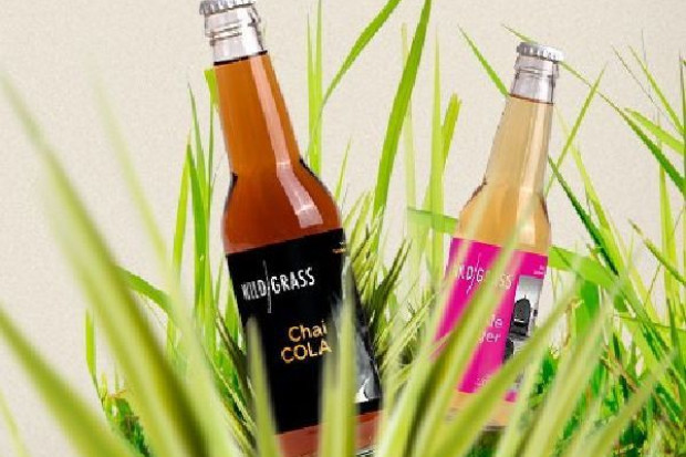 Napoje Wild Grass są produkowane na bazie naturalnych ekstraktów i aromatów roślinnych Herbapol Lublin wchodzi w nową kategorię napojową. Wprowadza do sprzedaży Wild Grass