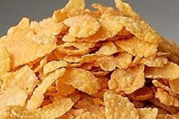 W Kutnie za 225 mln zł powstanie potężna fabryka produktów spożywczych