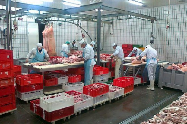Najwięcej przez ostatnich 11 lat zainwestowali polscy producenci mięsa Branża mięsna dostała zadyszki, mleczarniom brakuje mocy