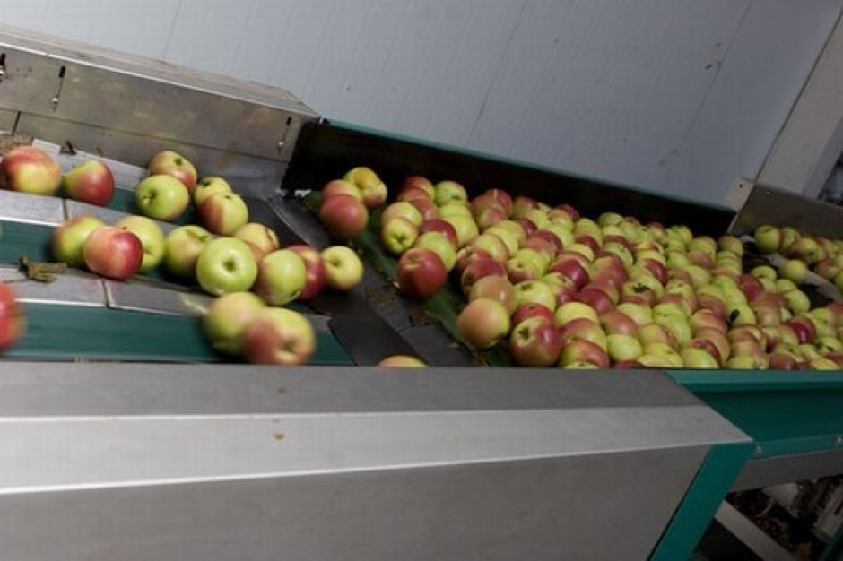 Rosja zwiększyła zapotrzebowanie na importowany, skoncentrowany sok jabłkowy