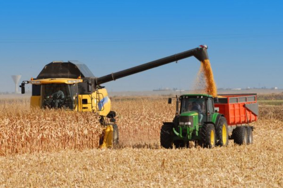 Krajowa produkcja zbóż w 2012 r. o 6,6 proc. wyższa rdr
