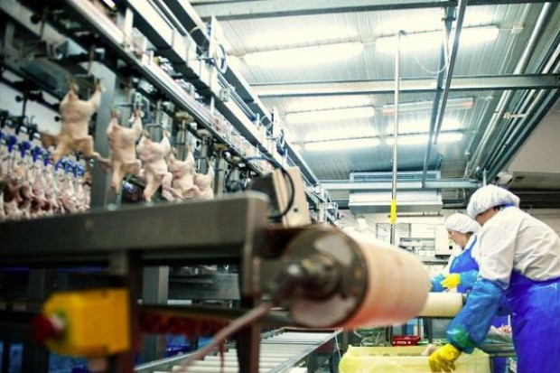 Res-Drob zwiększa produkcję o ponad 30 proc.