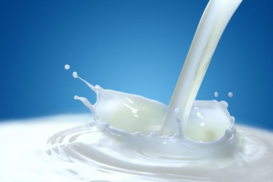 W 2012 roku zwiększył się eksport przetworów mleczarskich z Polski