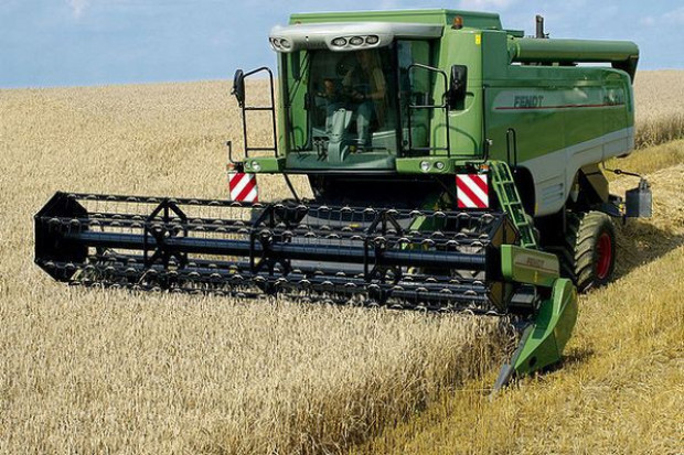 Perspektywy światowej produkcji zbóż na 2013 r. są korzystne