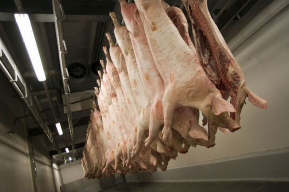 Europejski rynek wieprzowiny wyczekuje na bodziec do wzrostu cen