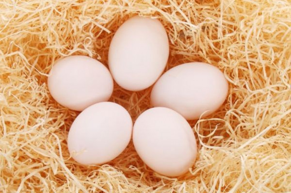 Były prezes Agros Novy sprzedaje jaja ‘wolne od GMO'