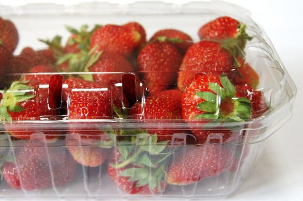 Fot. Gardenia Food Polska przestaje być producentem truskawek do przetwórstwa