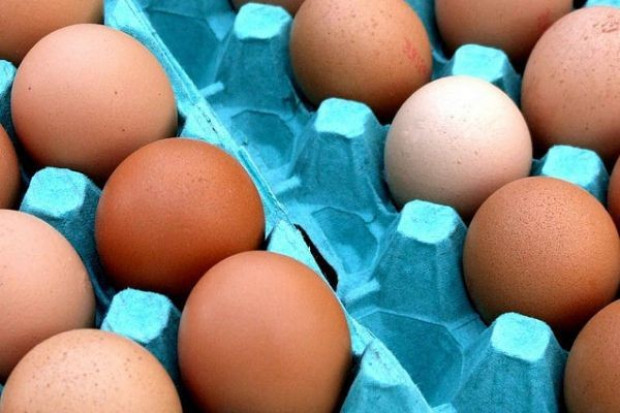 Producenci jaj są zmuszeni wybijać stada kur, by nie pogłębiać strat Dramatyczna sytuacja polskich producentów jaj