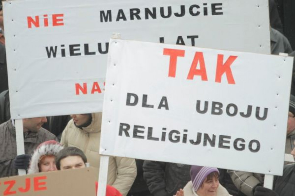 Branża mięsna rozczarowana postawą PiS ws. uboju rytualnego