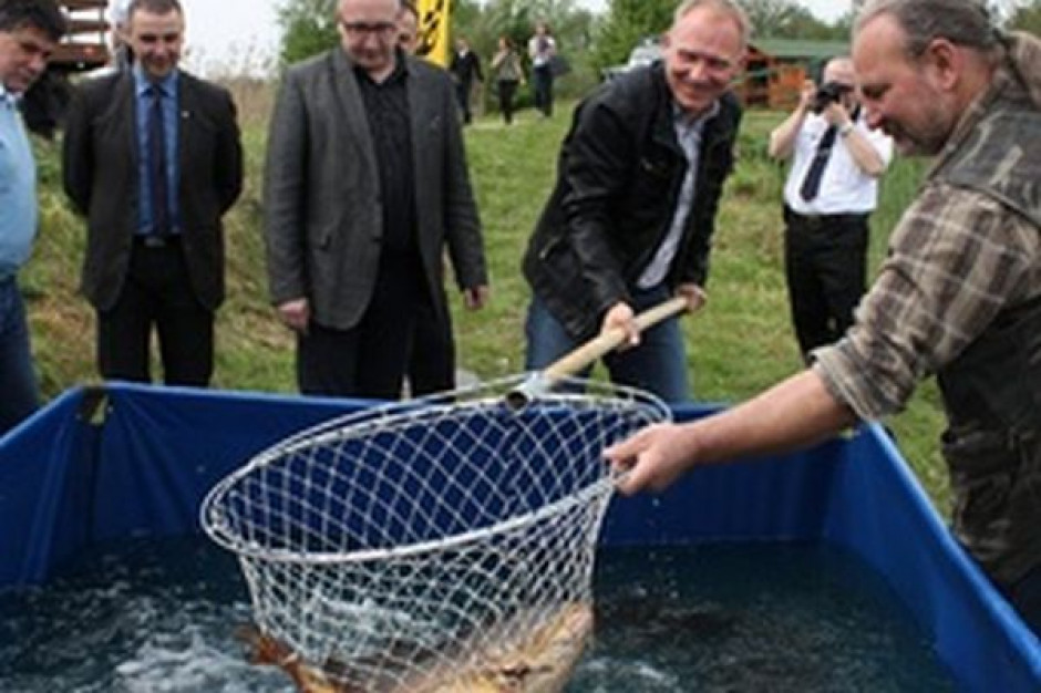 fot. stawymilickie.pl Stawy Milickie zainwestowały zwiększenie hodowli karpia i innych ryb