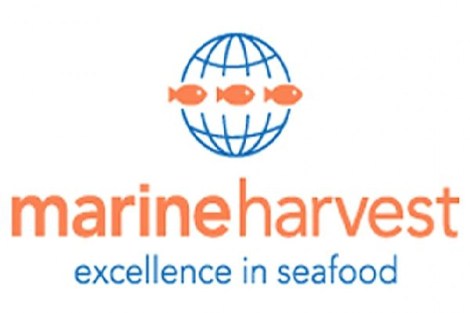 Marine Harvest ma za sobą rekordowy kwartał