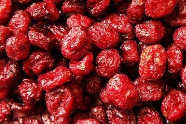 fot. za atlantapoland.com.pl Na Podkarpaciu ma powstać największa w Europie plantacja żurawiny
