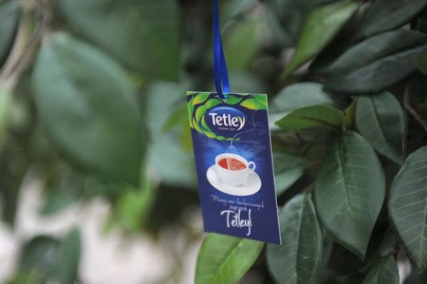 fot. materiały prasowe marki Tetley Tetley: Młodzi konsumenci wybierają soki i napoje gazowane, zamiast herbaty