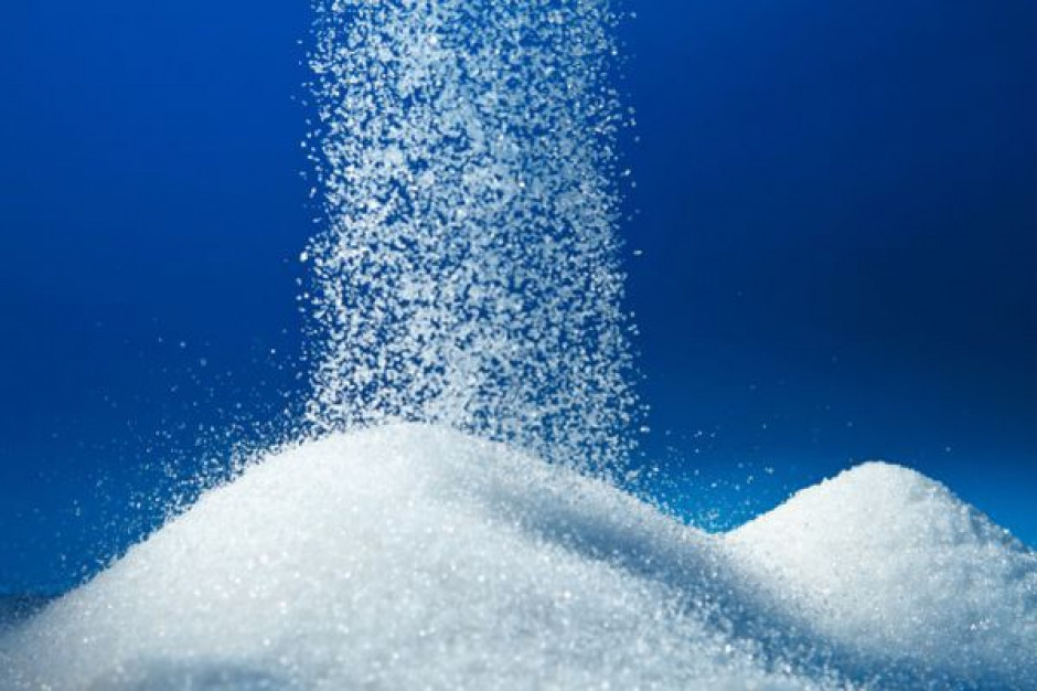 Czy należy obawiać się zniesienia kwot cukrowych?