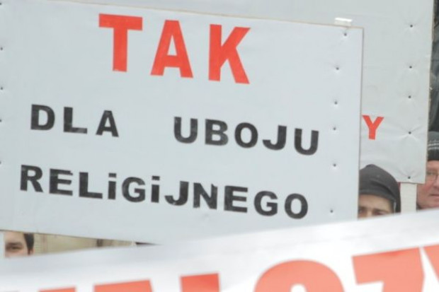 (fot. Paweł Pawłowski, zelaznastudio.pl) Wraca sprawa uboju rytualnego