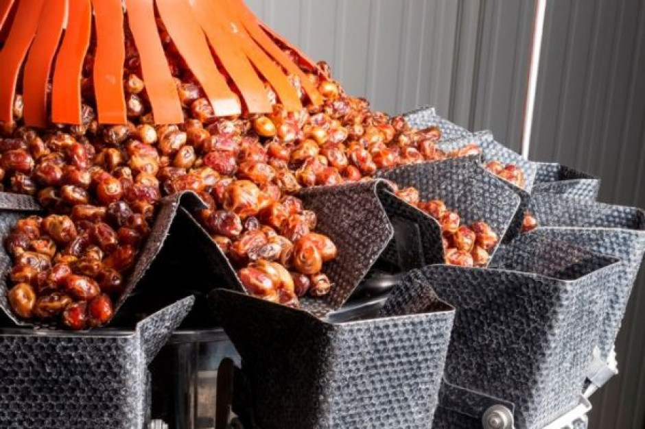 (fot. Ishida) Ishida rozwiązuje problem lepkiego produktu