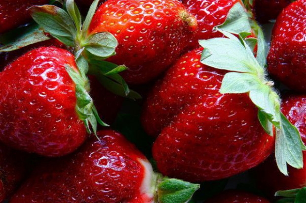 Polska jest znaczącym producentem truskawek, malin i borówki w UE Polska znaczącym producentem truskawek, malin i borówki w UE