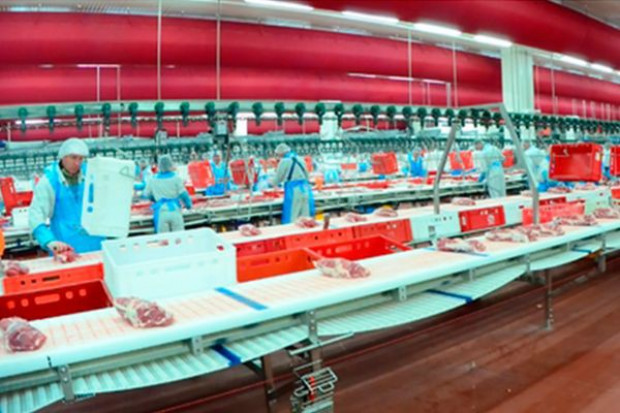 Litwa i Polska chcą rekompensat dla producentów wieprzowiny
