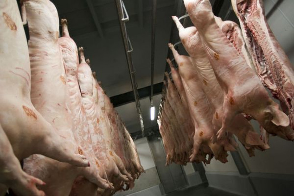 (fot. PTWP) WIR: Producentom i przetwórcom mięsa należą się rekompensaty