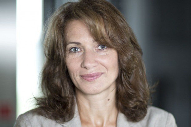 Beata Kokeli, senior dyrektor działu powierzchni handlowych w CBRE w Polsce: - W przypadku Polski w 2013 r. odnotowano wejście 23 nowych, międzynarodowych sieci handlowych na nasz rynek. Najwięcej najemców pojawiło się w sektorze odzieżowym - 13 firm, wśród których można wymienić marki takie, jak: Karl Lagerfeld, H.E. by Mango, Hollister, Manila Grace czy Armani Jeans. Aktywnością wykazały się także sieci handlowe oferujące artykuły wyposażenia wnętrz - 4 marki: H&M Home, Ixina, Present Time, czy Laura Ashley. Nowe sieci handlowe wejdą na polski rynek