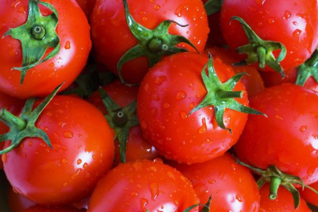 fot. Fotolia Na embargu cierpią także producenci pomidorów