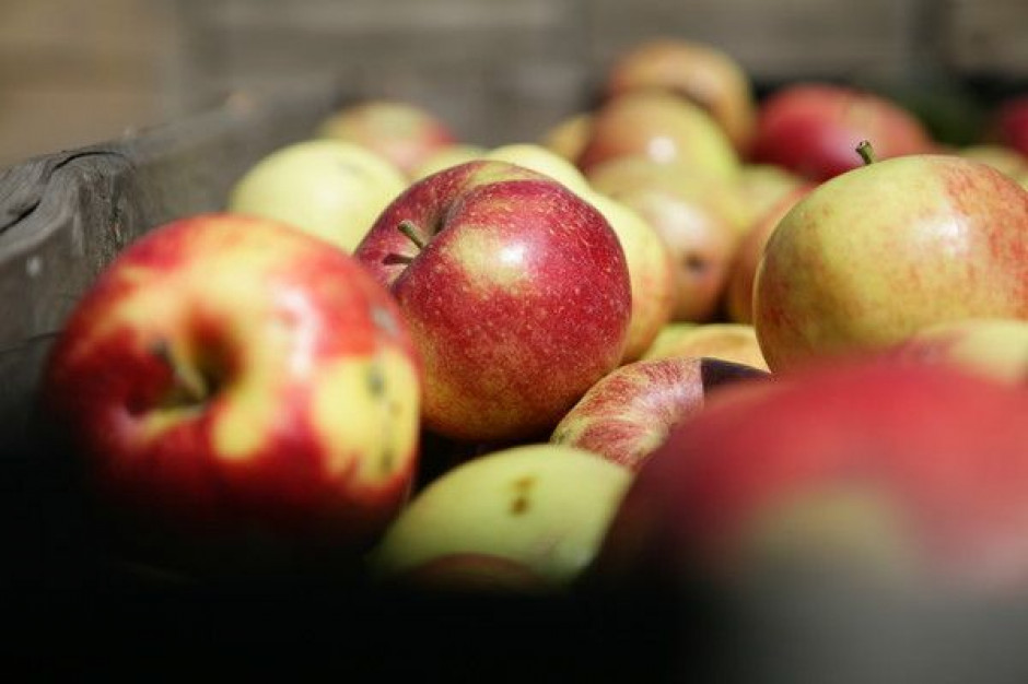 Zwiększy się krajowa produkcja zagęszczonego soku jabłkowego