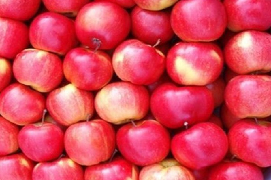 Sieci handlowe częściej promują jabłka