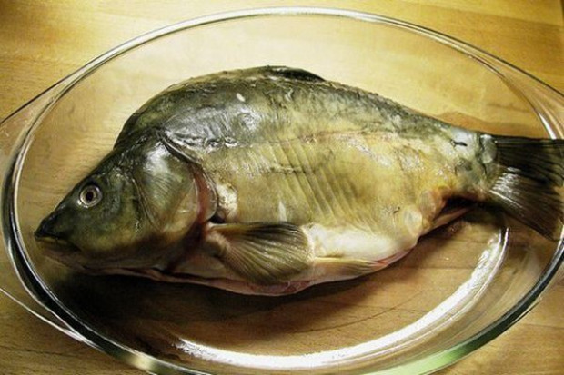 Karp kaniowski czy bestwiński? Kaniowski czy bestwiński? Awantura o tradycyjnego karpia