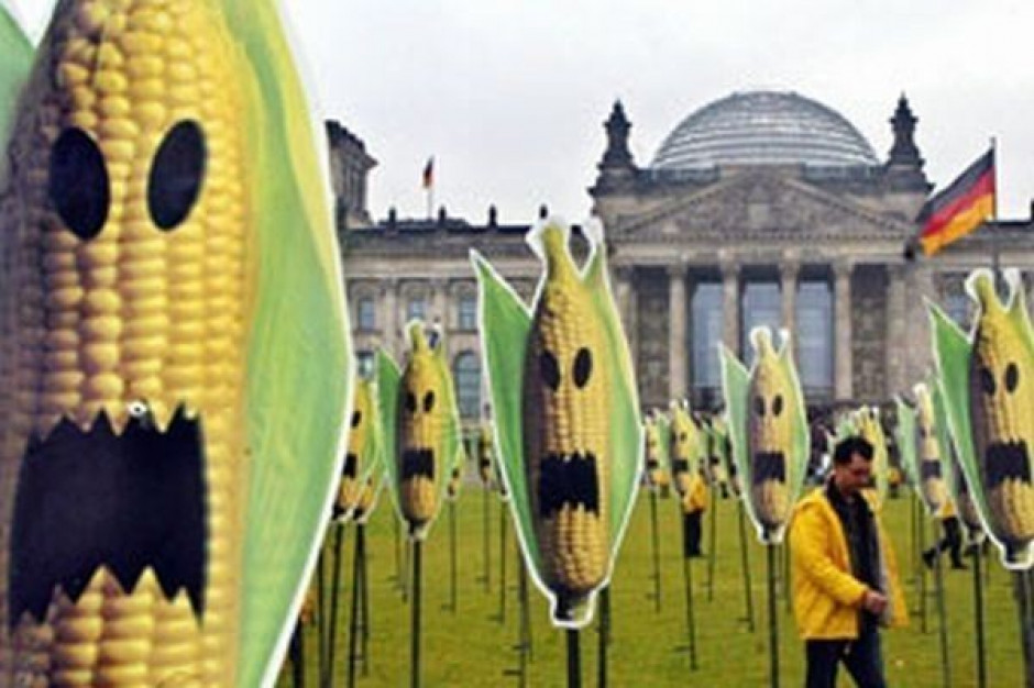 Niemcy protestują przeciwko GMO