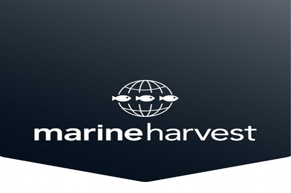 Fot. Marine Harvest Rekordowe dochody operacyjne Marine Harvest