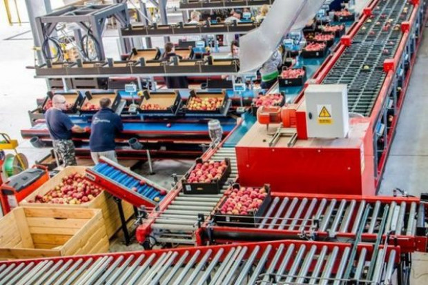 foto pochodzi ze strony internetowej grupy Fruit Logistics Grupy producentów jabłek tworzą konsorcja