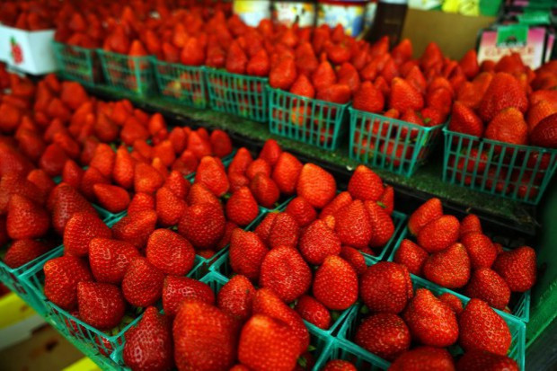 Na Broniszach truskawki kosztują 15-20 zł/kg