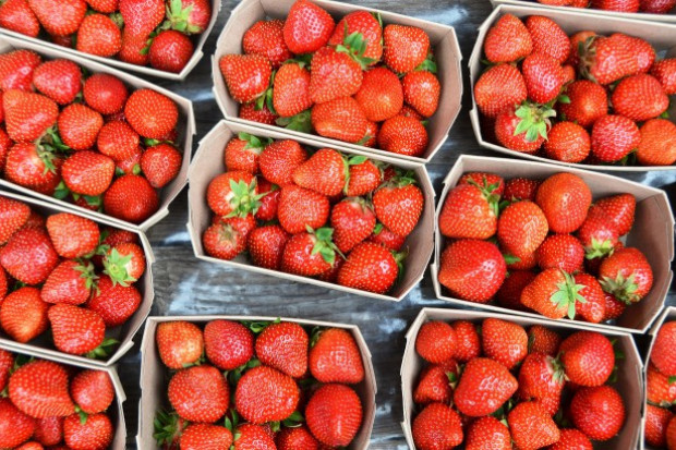 fot. shutterstock Producentom truskawek