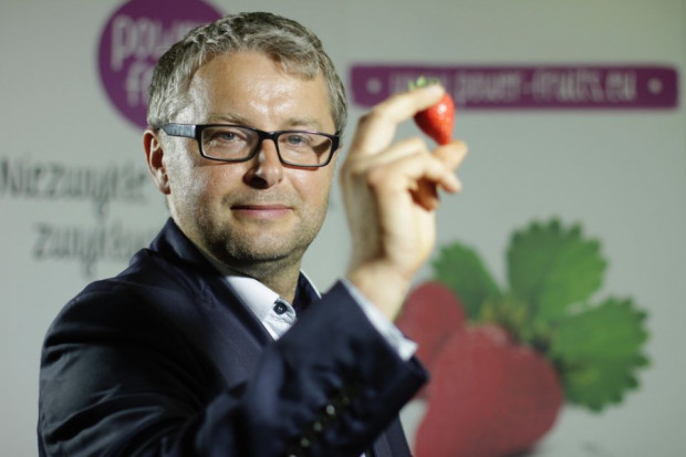 Janusz Andziak, prezes Stowarzyszenia Plantatorów Truskawek/ fot. Żelazna Studio Część plantatorów może w tym roku zarobić na truskawkach