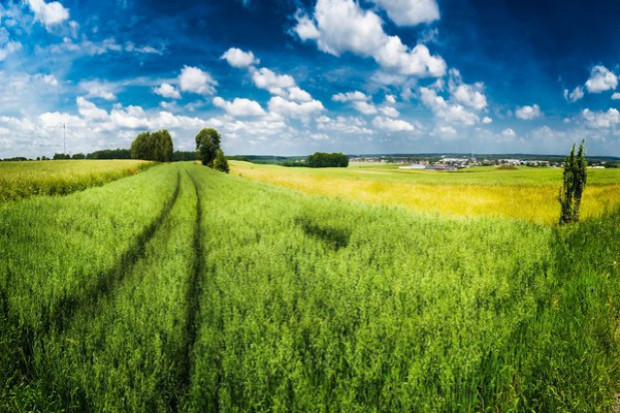 fot. Fotolia PSL walczy z PiS o głosy polskich rolników