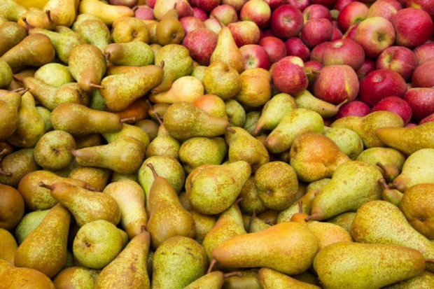 Coraz więcej grup producenckich zaczyna promować własne marki owoców, a nie ich odmiany. Fot. Shutterstock Innowacje na rynku opakowań świeżych owoców i warzyw