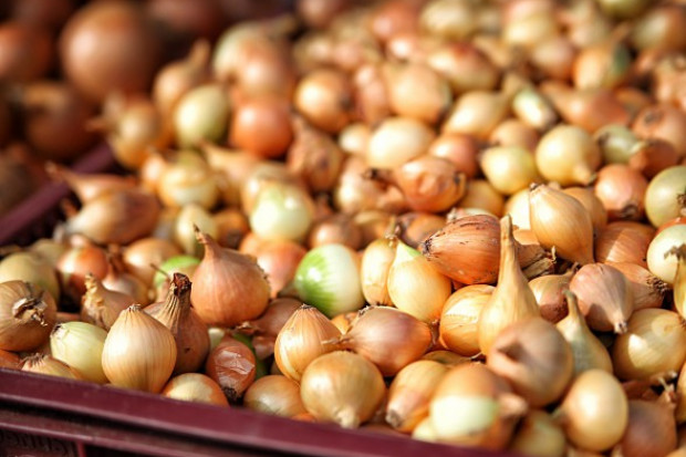fot. shutterstock.com Wzrósł import cebuli do Rosji - mimo embarga