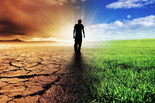 Unijni producenci żywności chcą przeciwdziałać zmianom klimatu. Fot. Shutterstock FoodDrinkEurope przeciwko zmianom klimatu
