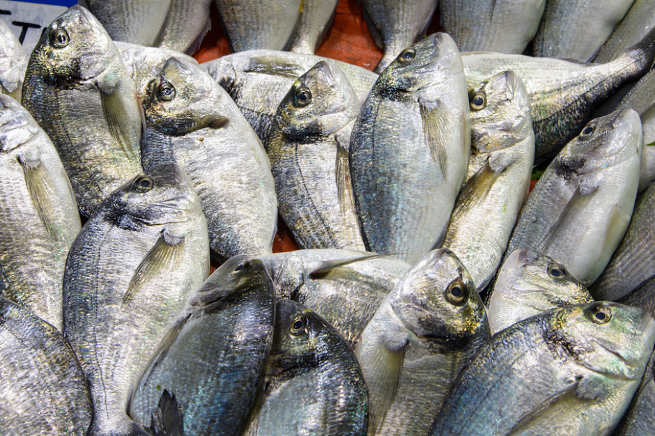 Niewielki spadek cen ryb i owoców morza