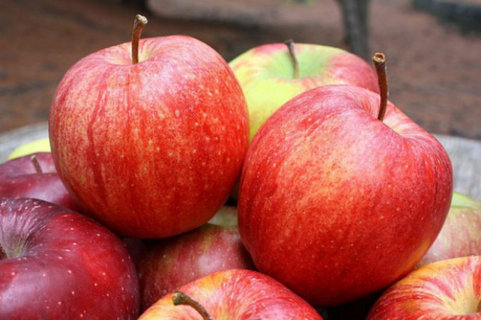 Spadł eksport jabłek z Polski