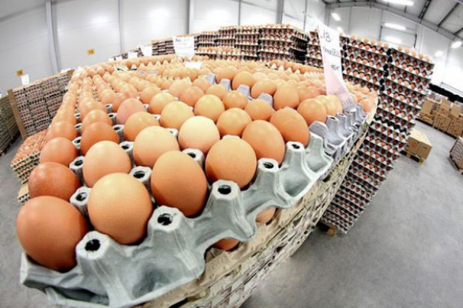 Ovostar Union zwiększył sprzedaż jaj niemal o połowę