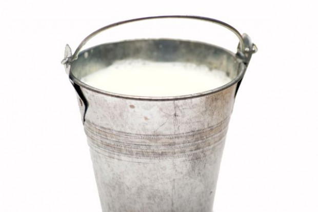 (fot. Fotolia) Ceny skupu mleka pójdą w górę