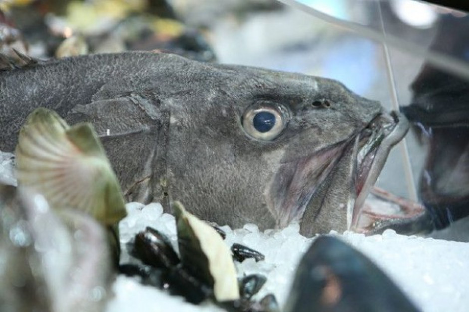 Norwegia da Unii 400 mln zł w zamian za lepsze warunki handlu rybami