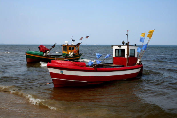 Fot. Shutterstock KE ponownie przeanalizuje liczebność dorsza bałtyckiego