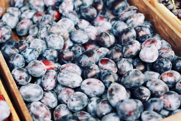 Ceny śliwek na rynkach hurtowych sięgają 5-6 zł/kg/ fot. shutterstock Za śliwki na rynkach hurtowych trzeba zapłacić 5-6 zł/kg