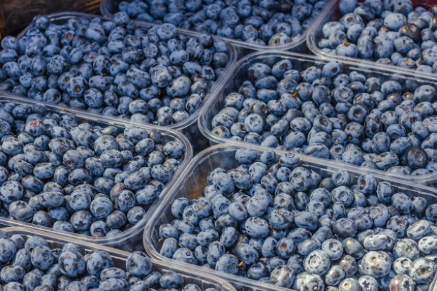 Ceny borówki na rynkach hurtowych wahają się między 10-17 zł/kg/ fot. shutterstock Borówki na rynkach hurtowych kosztują 10-17 zł/kg