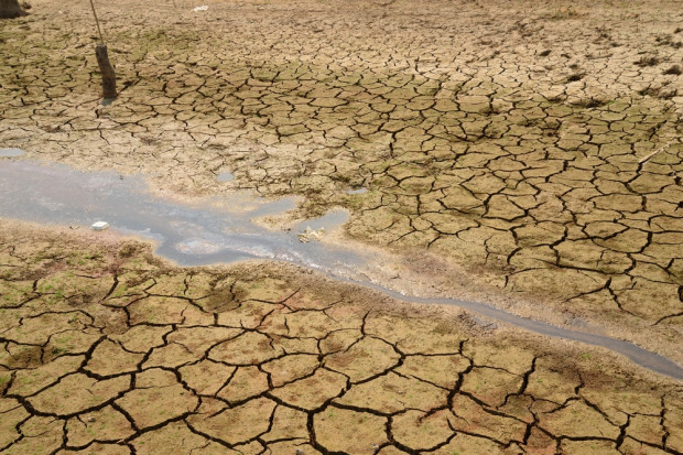 Fot. Shutterstock Klęska głodu na świecie realna.Przez ocieplenie klimatu